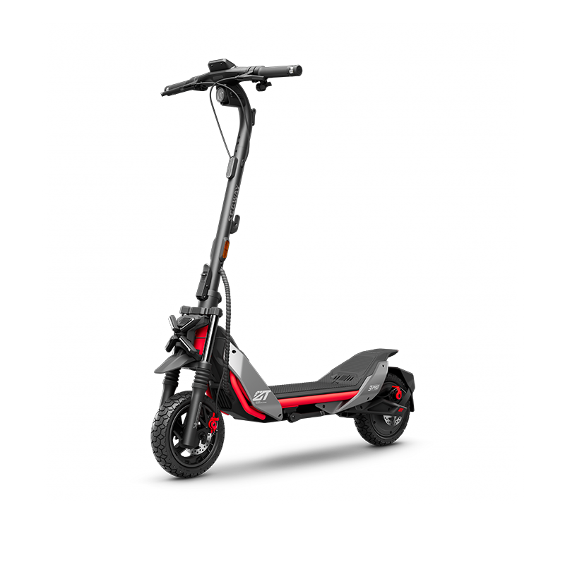 Segway eKickScooter Ninebot Zing E10